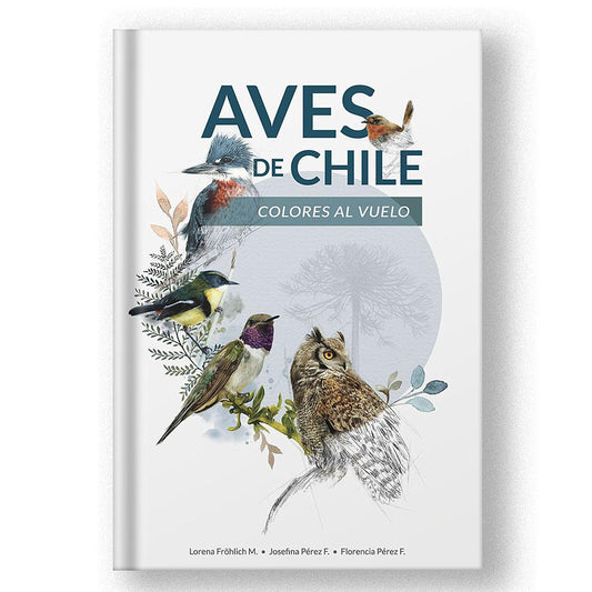 AVES DE CHILE COLORES AL VUELO