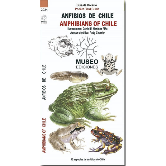 GUIA DE BOLSILLO ANFIBIOS DE CHILE