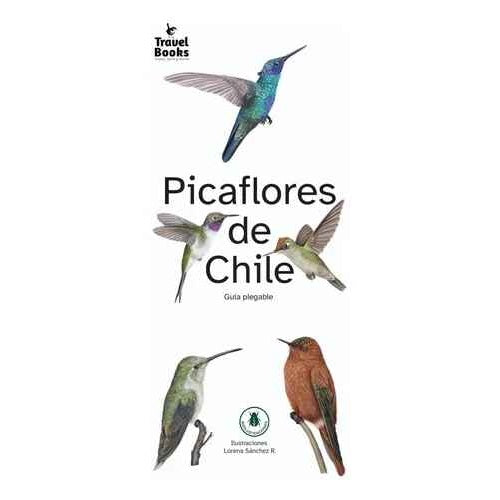 PICAFLORES DE CHILE (DESPLEGABLE)