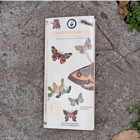 GUIA DE BOLSILLO LEPIDOPTEROS DE CHILE (SATURNIIDAE)