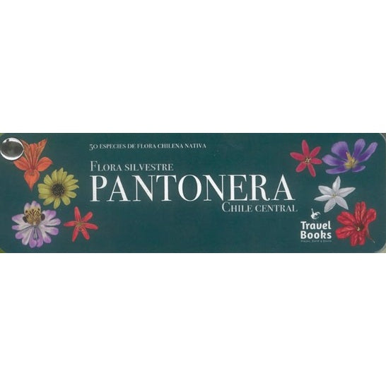 PANTONERA FLORA SILVESTRE ZONA CENTRAL