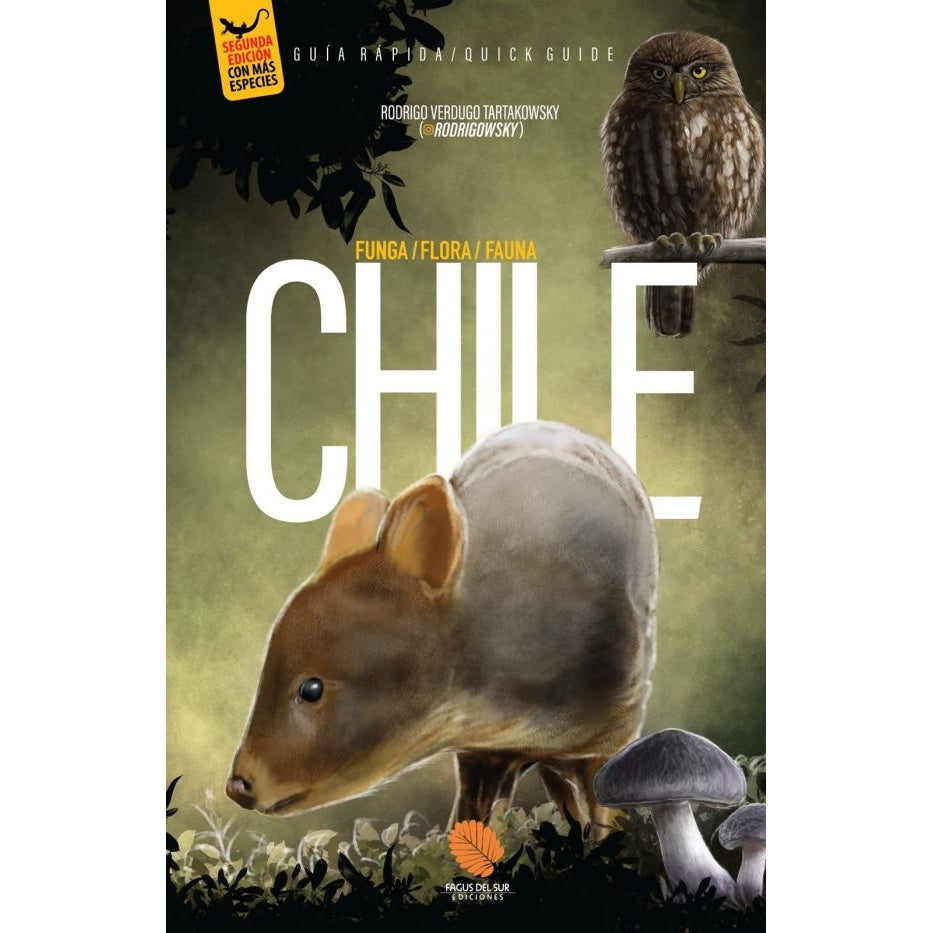 CHILE UNA GUIA RAPIDA (SEGUNDA EDICION)