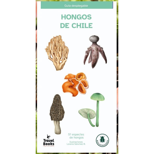 GUIA HONGOS DE CHILE DESPLEGABLE