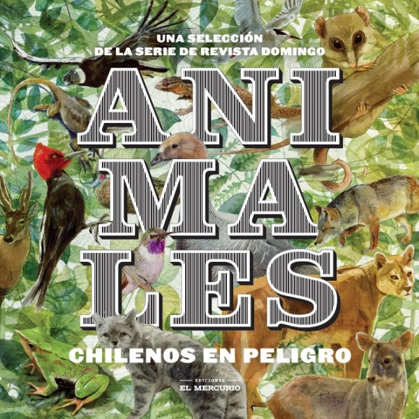 ANIMALES CHILENOS EN PELIGRO