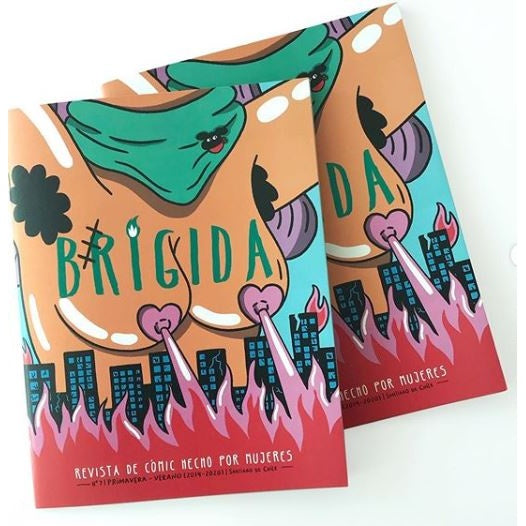REVISTA BRIGIDA 7