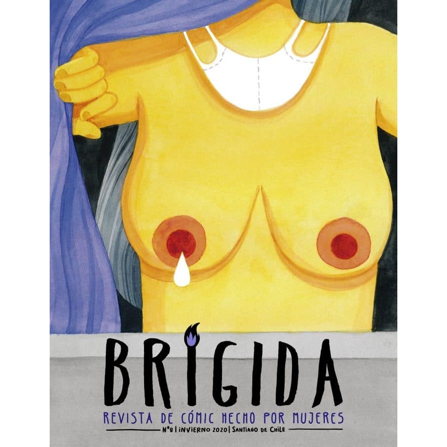 REVISTA BRIGIDA 8