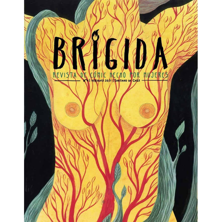 REVISTA BRIGIDA 9
