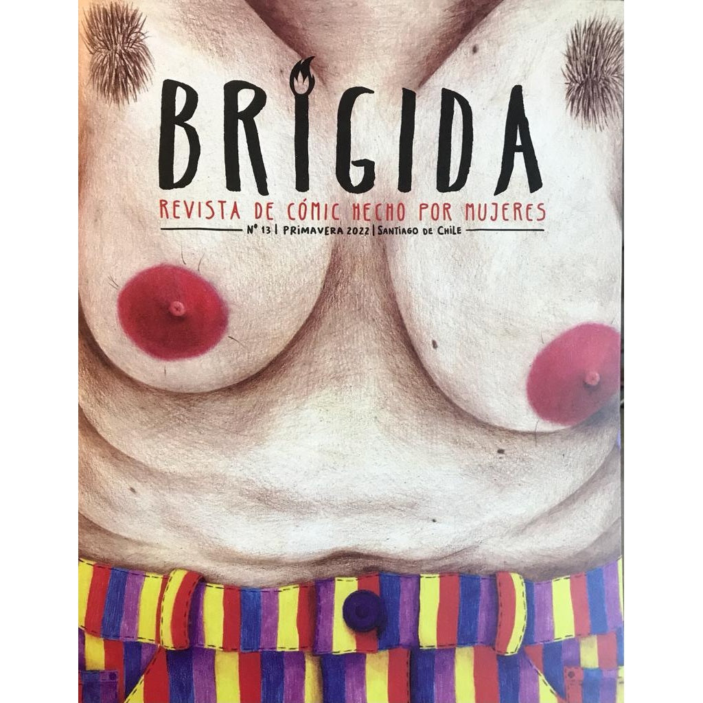 REVISTA BRIGIDA 13