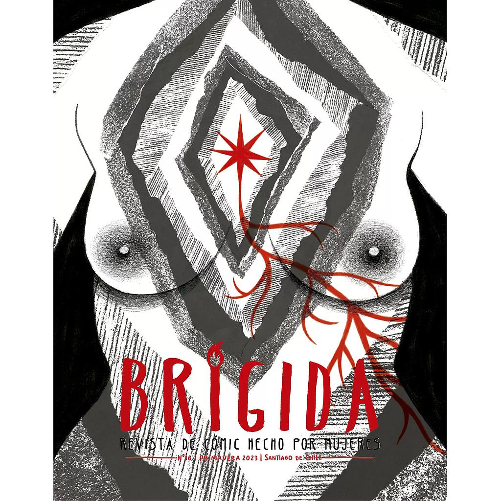 REVISTA BRIGIDA 16