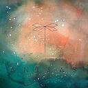 ANISAS - VIRAL | CD