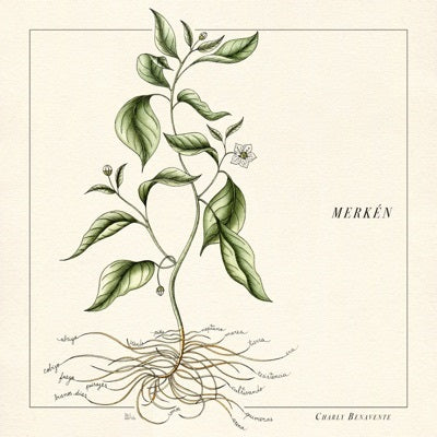 CHARLY BENAVENTE - MERKEN | CD