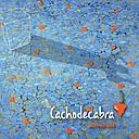 CACHO DE CABRA - ACEVICHADO | CD