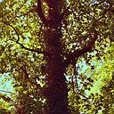 EPIFANIA (CD)