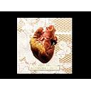 ALECTROFOBIA - IMBECIL | CD