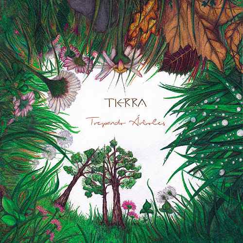 TREPANDO ARBOLES