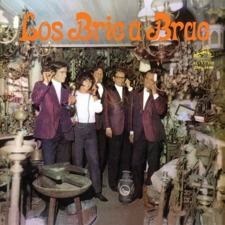 LOS BRIC A BRAC (LP)