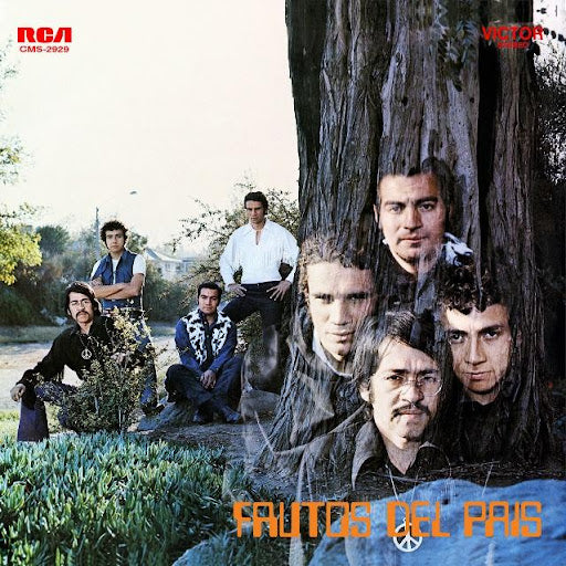 FRUTOS DEL PAIS (LP)