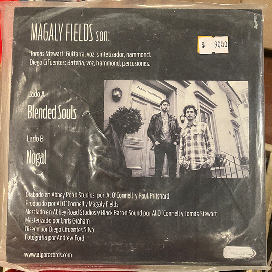 MAGALY FIELDS - BLENDED SOULS | VINILO 7"