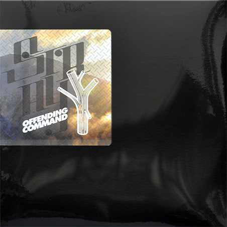 STRAY (LP)