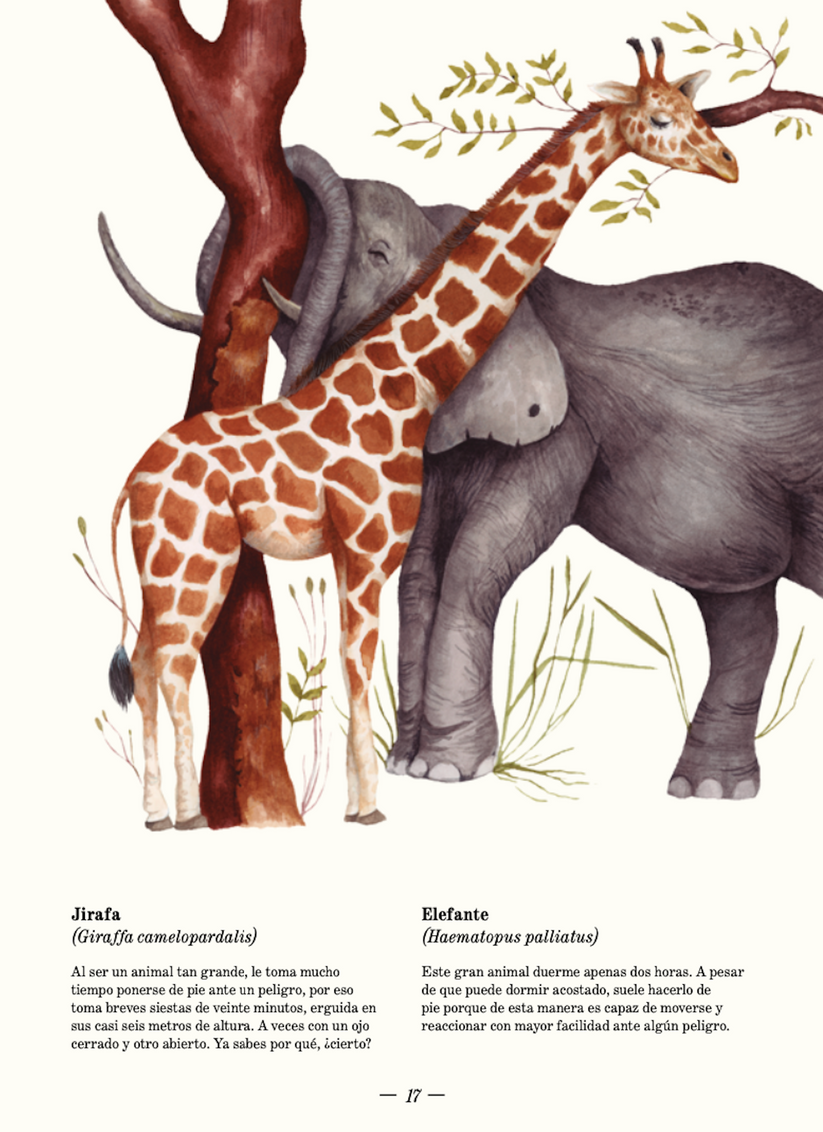 SUEÑO ANIMAL - SILVIA LAZZARINO | LIBRO