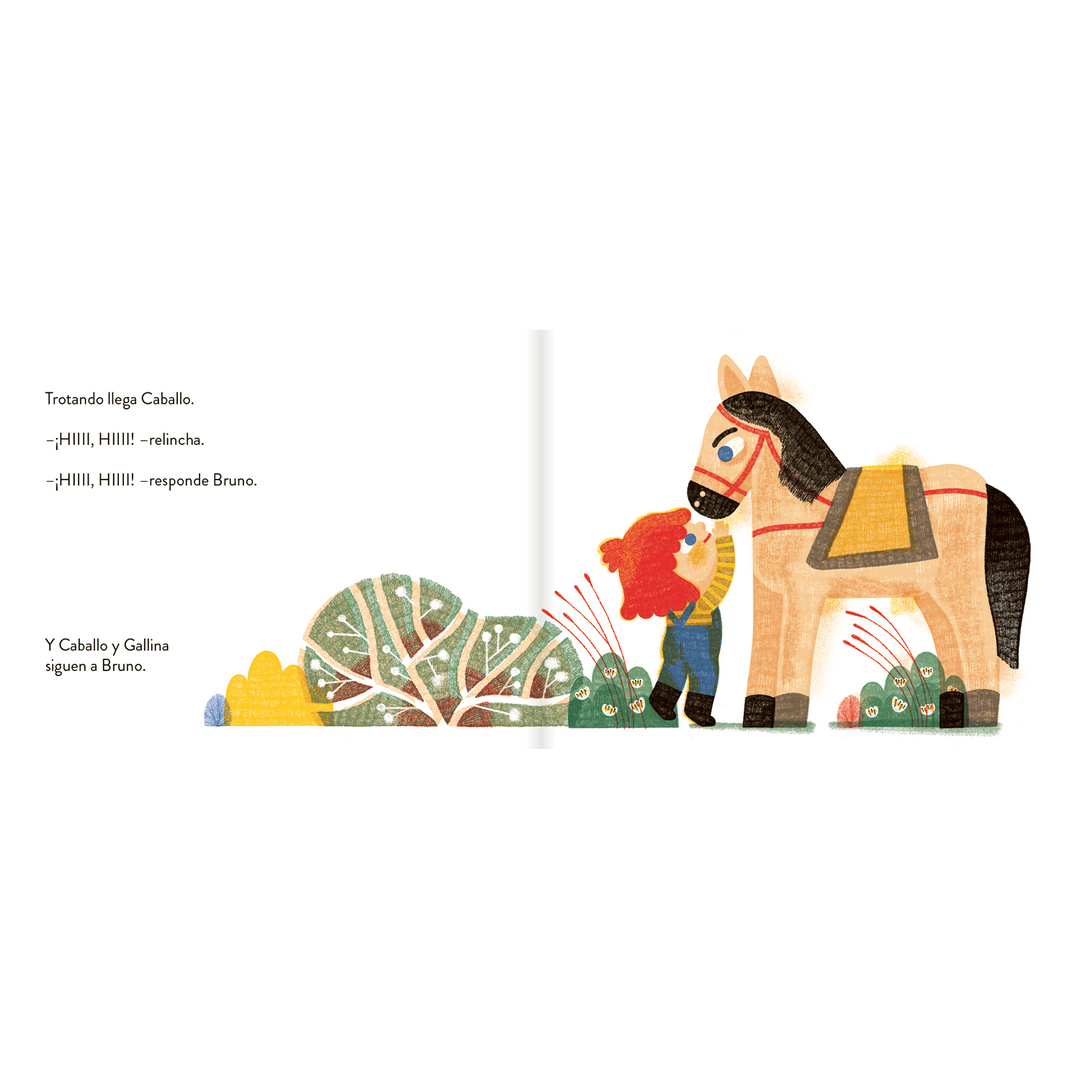 PALOMA VALDIVIA - BRUNO HABLA CON LOS ANIMALES | LIBRO