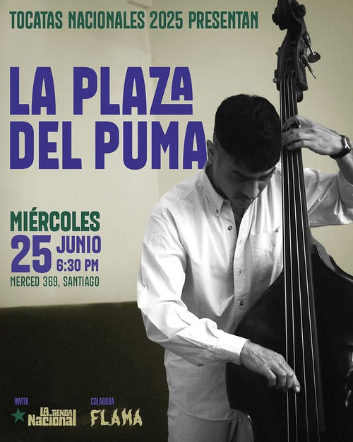 La Plaza Del Puma