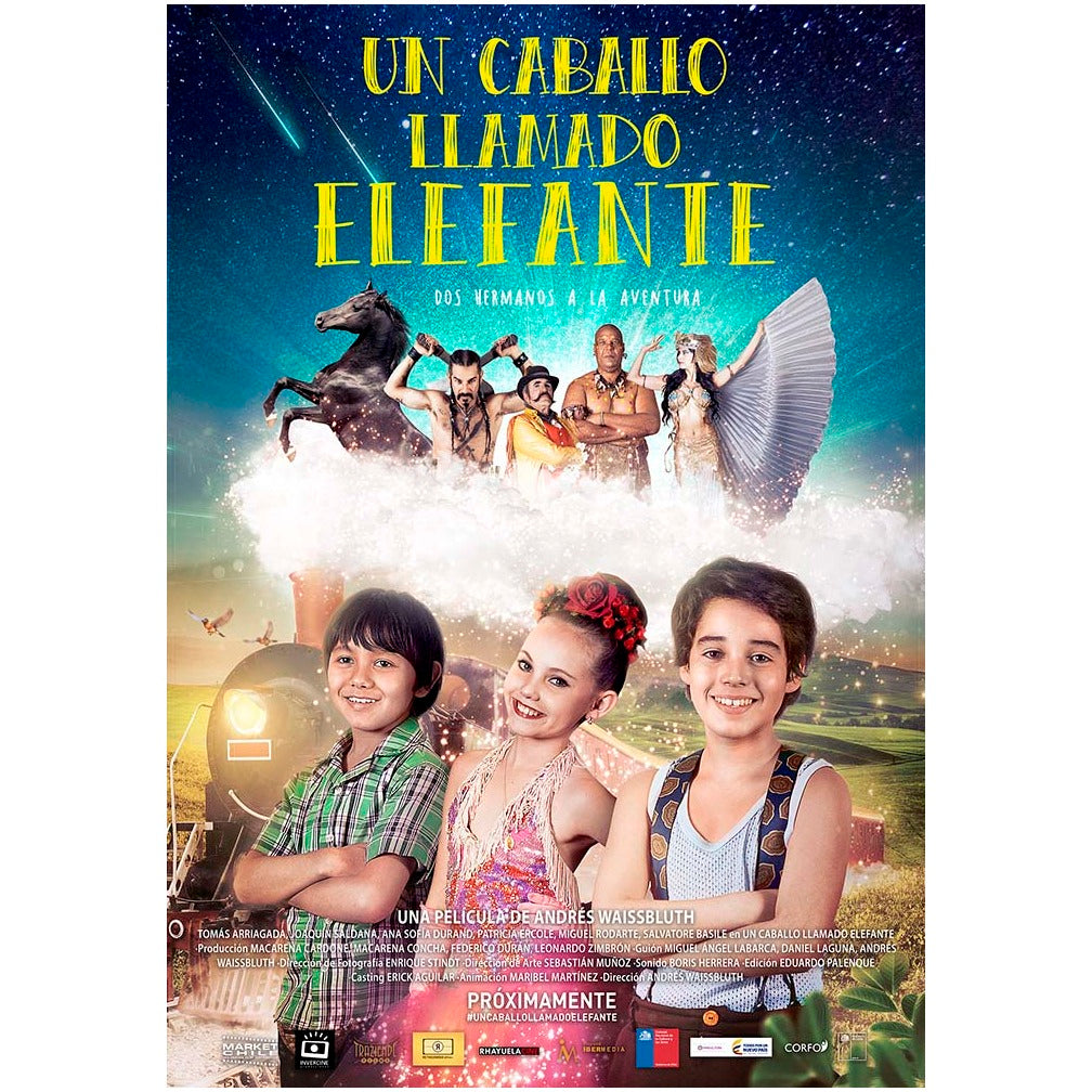 UN CABALLO LLAMADO ELEFANTE (2016) - Andrés Waissbluth | PELICULA