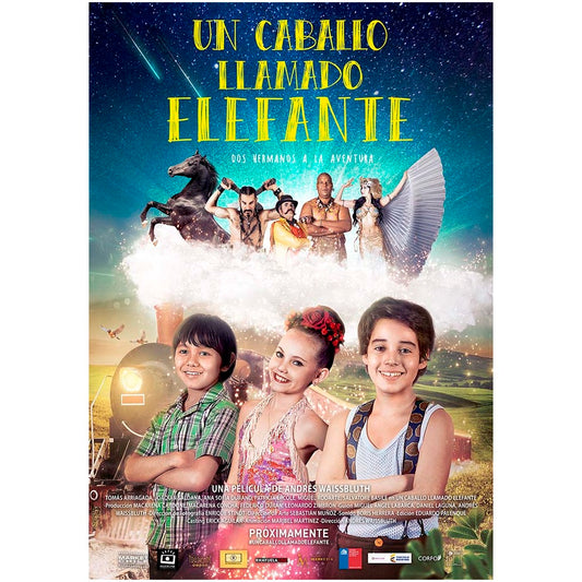 UN CABALLO LLAMADO ELEFANTE (2016) - Andrés Waissbluth | PELICULA